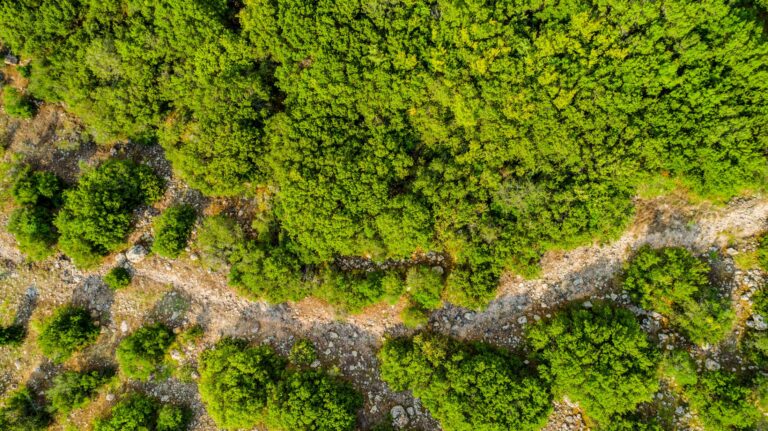 Ancient Via Egnatia Mesti Evros Thrace Greece