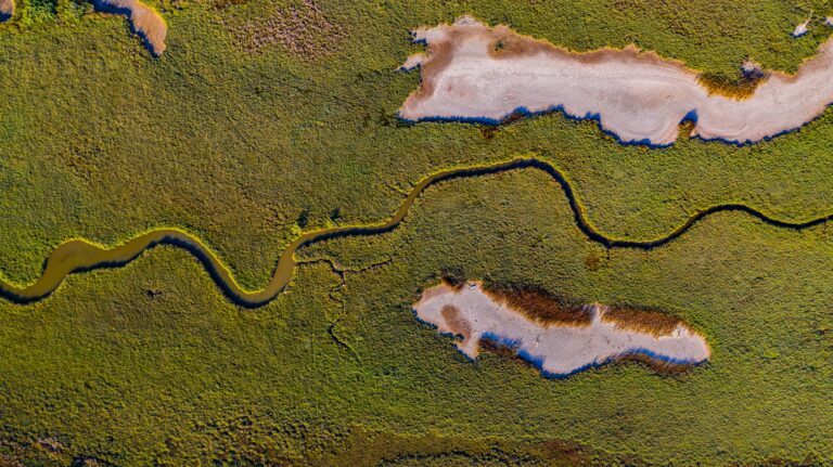 Evros Delta national park Evros Thrace Greece