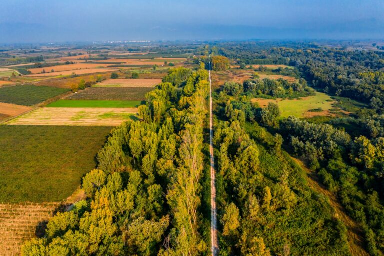 Kontza Oman forest Kavala Macedonia Greece